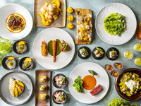 1drink + Semi Lunch Buffet 'Strings VIVACE' Adults - weekend