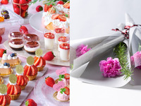 【母の日ランチ】感謝を伝えるカーネーション1輪付　お好きなスイーツが8種選べる！デザートワゴン付き◇サラダ・パスタ・魚・メインのランチ＜平日限定＞