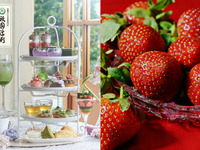 【🍓平日限定：苺狩り付🍓】◇マリアージュフレール社紅茶1ポット◇ 抹茶と桜のアフタヌーンティ with 祇園辻利＆不揃い苺取り放題付！