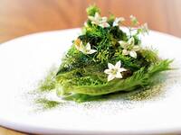 ランチコース+ノンアルコールペアリング