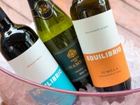 【ディナー｜プレミアム飲み放題付き】YEBRAプレミアムパーティーコース《厳選ワイン＆スパークリングを”ボトル提供”で愉しむ特別プラン》