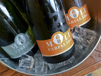 4/13～【ディナー｜プレミアム飲み放題付き】YEBRAプレミアムパーティーコース《厳選ワイン＆スパークリングを”ボトル提供”で愉しむ特別プラン》