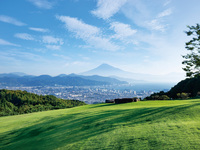 Early summer lunch buffet