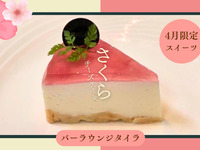 さくらチーズケーキ