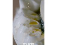 41st Parfait『sourdre』