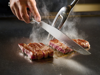 Lunch Teppanyaki Course: Sanaetsuki