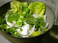 Spring green salad