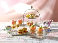 【7～8月】 AFTERNOON TEA with “SIROCCO” 「Peach」