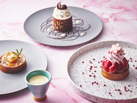 【Spring Menu ★ Dinner】Omakase Counter Exclusive Menu (4 Courses)