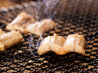 Wild eel