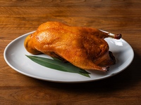 【ディナー】5月限定飲み放題付きセントラルコース