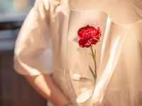 Mother's Day Carnation Bouquet (8 stems) + Message Plate