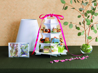 【2日前までの要予約】テイクアウト専用 いしかわ動物園コラボレーション アフタヌーンティーセット ～little zoo～　1名様用