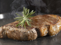 Wagyu Beef Plan (June 1st - September 30th)