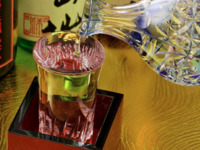 【平日限定特典×のどぐろ炙り寿司付き】藤+飲み放題