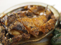 5/1〜海の幸コース +【数量限定】北海道産えぞ鮑付き　22,500円 (税込) 