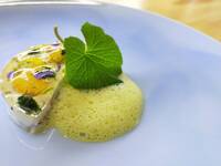 「Terre et Mer 2026 （大地と海）」アルコールペアリング付き　2026年7月31日～8月3日限定