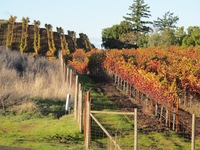 Hirsch Vineyards × BARIN Wine maker's Dinner