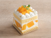 マンゴーショート（5/1～6/30）