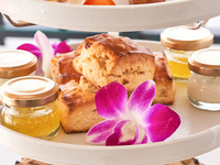 Tropical Afternoon Tea (with a glass of champagne) <Indoor seating>