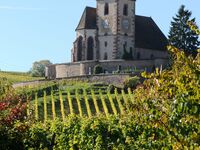 【Event】TRIMBACH Winemaker's Dinner