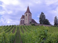 【Event】TRIMBACH Winemaker's Dinner〈Prepayment〉