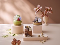 Seasonal Sweets Assortment (3 types) [May: Pistachio x Nut Sweets]