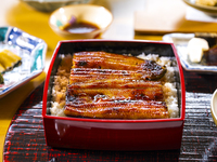 四万十うなぎと前沢牛の会席/ディナー