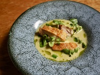 4月27日〜季節のスペシャルコース 全8品　