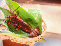 SPECIAL course + pairing including one glass of Dom Pérignon (from April 24th)