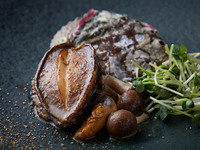 [Lunch-only short course]