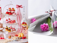 5月4日・24日　特別会場開催！◇母の日に感謝の気持ちを込めたカーネーションを添えて◇【土日祝】いちごとチェリーのアフタヌーンティー