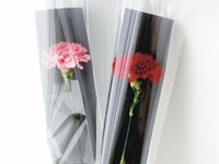 ★Mother's Day★ [5/1~5/10] Mediterranean Buffet (Adults) + Toast Drink