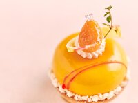 [In-store payment] Tarte Soleil