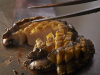 [Sakura] x [Online Reservation Only - Spring] Steak 25% Increase Fair