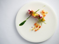 【Dinner｜平日】ハープ演奏付ディナー(乾杯酒 + ディナーコース 5品)