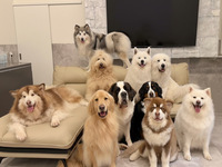 【평일】 만남 플랜 스페셜 음료 포함