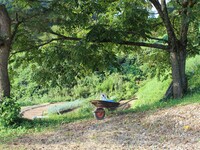 【金・土・日・祝日　ディナー・宿泊】農体験コースプラン　５/２９(金)~８/3０(日)　8/14、8/15、8/16は除く