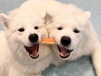 ≪ゴールデンウィーク期間≫通常チケット（50分）