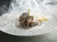 [Limited time offer until April 30th] SAISON