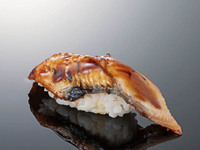 eel