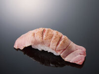 Seared raw bluefin tuna medium fatty cut