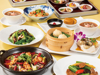 改装リニューアル特別コース