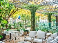 【表参道ケヤキ並木を望むテラス確約★3時間滞在】いちごアフタヌーンティー 平日 予約制