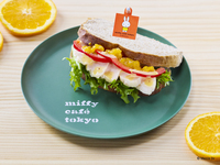 Honey mustard chicken and orange jam sandwich