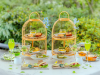 爽やかな新緑の季節【リバーサイド アフタヌーンティー ～ヴェール・フレ～】