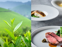 【新緑の彩り】入間産・香る狭山茶（さやまかおり種100％）と旬野菜、鮮魚と国産牛サーロインステーキのフルコース全5品-SHIKITEI-