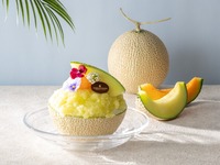 [June 1st - August 31st - Limited Quantity] Premium Shaved Ice "Crown Melon" & Coffee or Tea | 6,000 yen