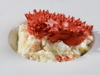 【新華のヌーベルシノワコース】＋乾杯のシャンパーニュ　 ※5/16〜