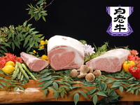 June-August: Shikisai Course (Sendai Beef)